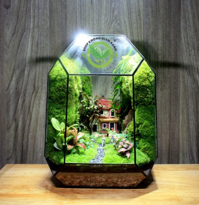 Terrarium-MS26 My Family