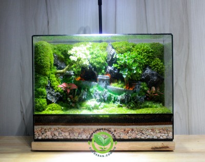 Terrarium Phía Sau Luỹ Thành