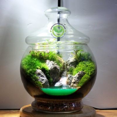 Terrarium Góc Thiên Nhiên