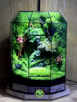 Terrarium-MS017.2