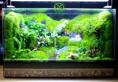 Terrarium Lối Về Bình Yên 30