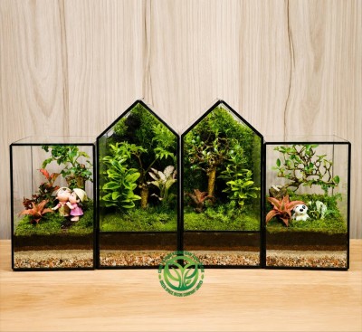 Terrarium Mini 2