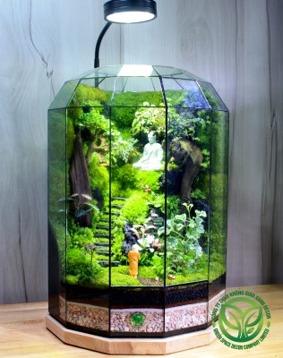 Terrarium-Sư Bái Phật