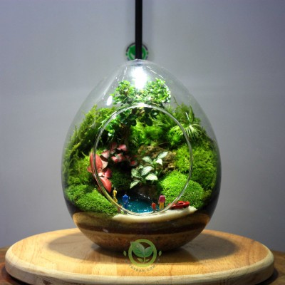 Terrarium-Trung18-Family
