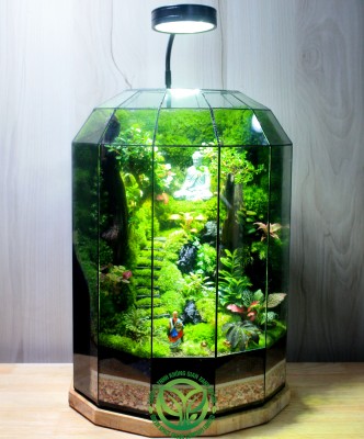 Terrarium Về Miền Đất Phật