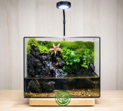 Paludarium Suối Nhỏ 25.15.20