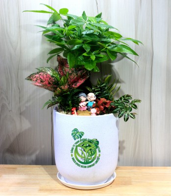 Tiểu cảnh Lộc Tài An Nhiên