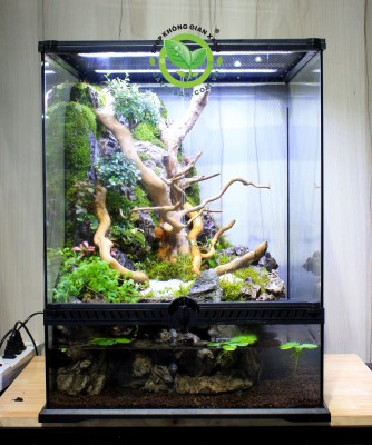 Vivarium nuôi Tắt Kè Hoa
