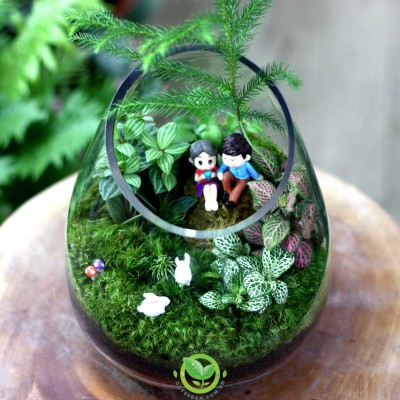 Terrarium Hẹn Hò