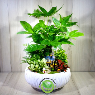 Tiểu cảnh Phúc Lộc An Gia