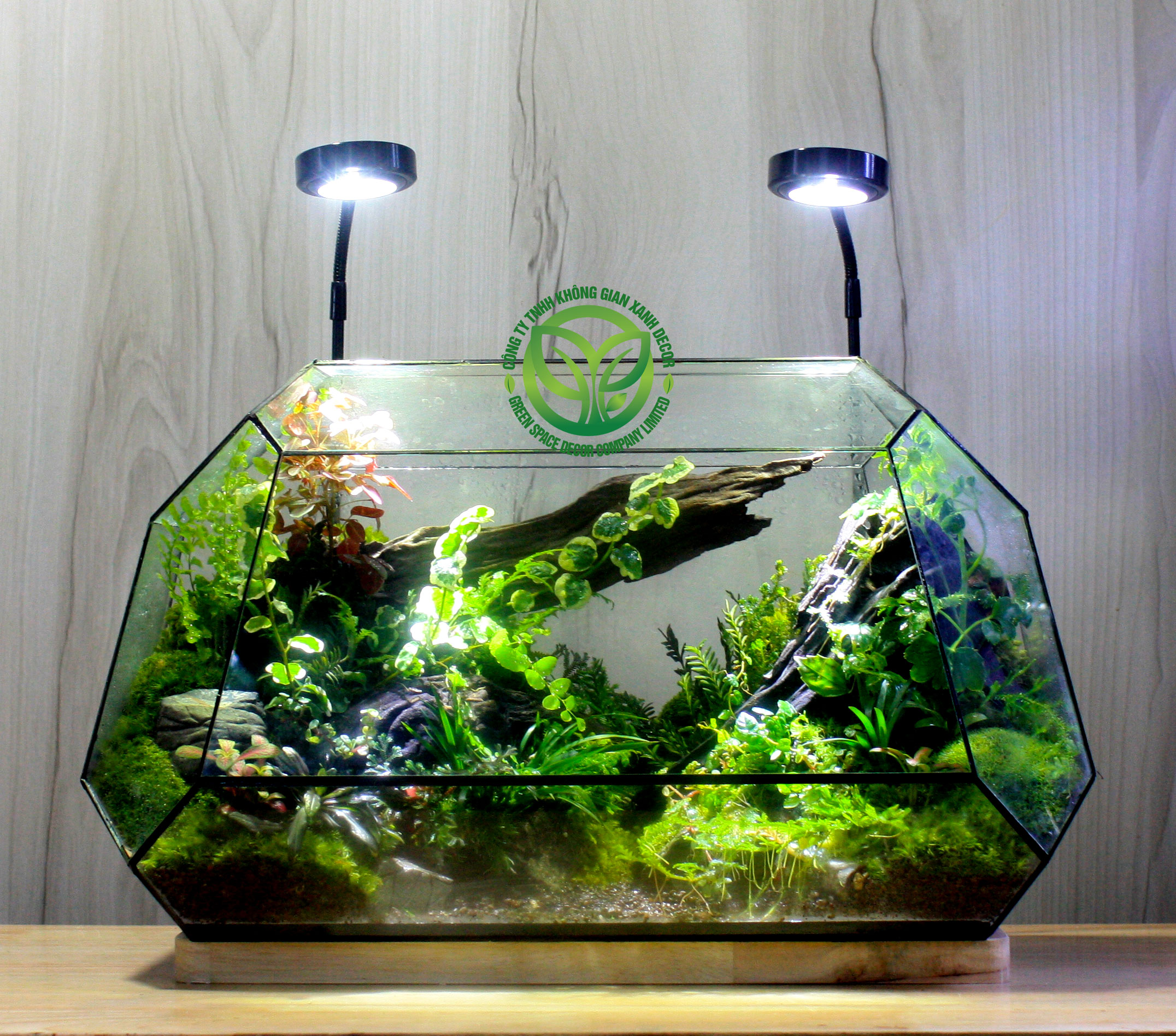 Thung Lũng Ánh Sáng