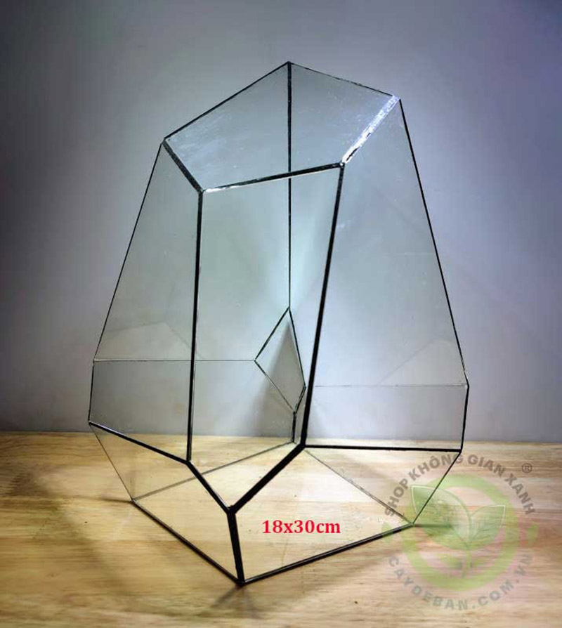 Đa giác MS03 Đa giác MS03