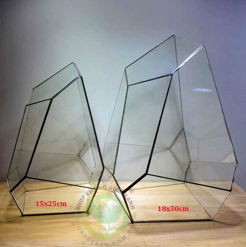 Đa giác MS03 Đa giác MS03