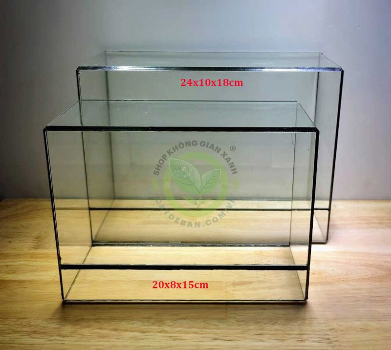 Đa giác MS05 Đa giác MS05