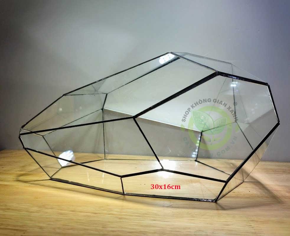 Đa giác MS06 Đa giác MS06