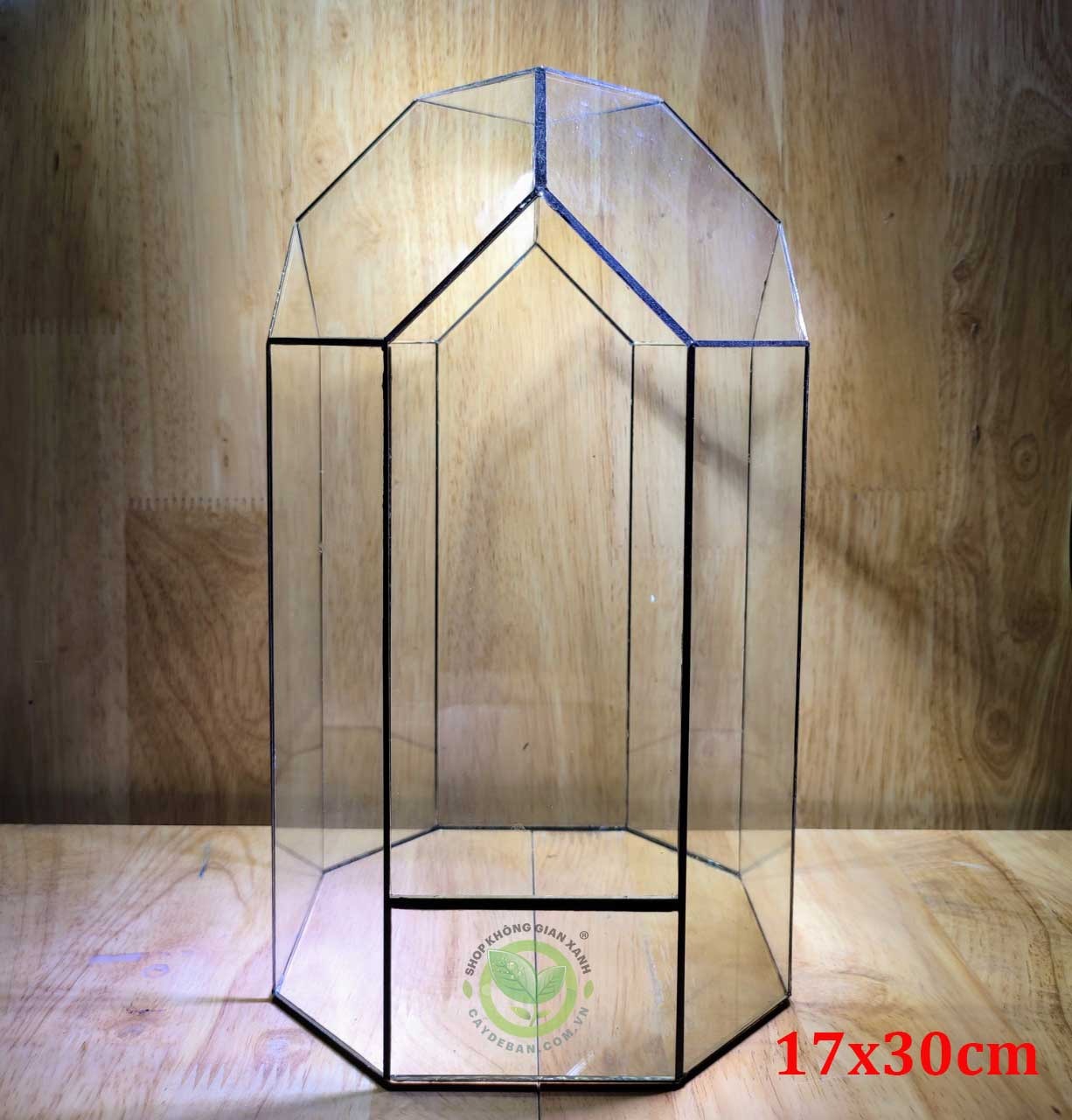 Đa giác MS16 Đa giác MS16