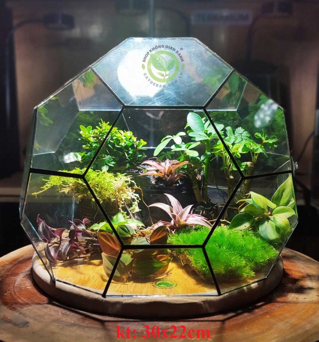 Đa giác MS23 Đa giác MS23