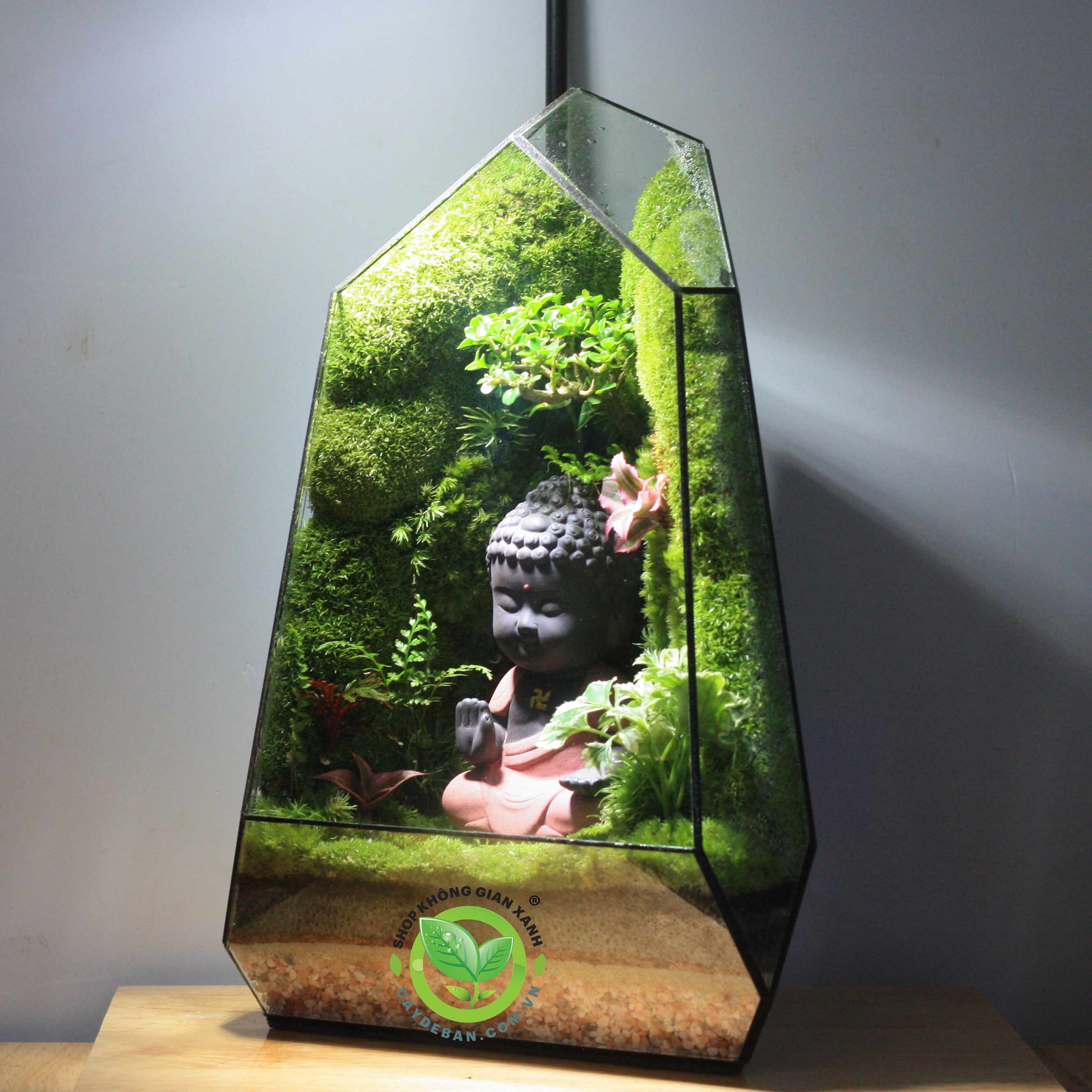 Đa giác MS30 Đa giác MS30