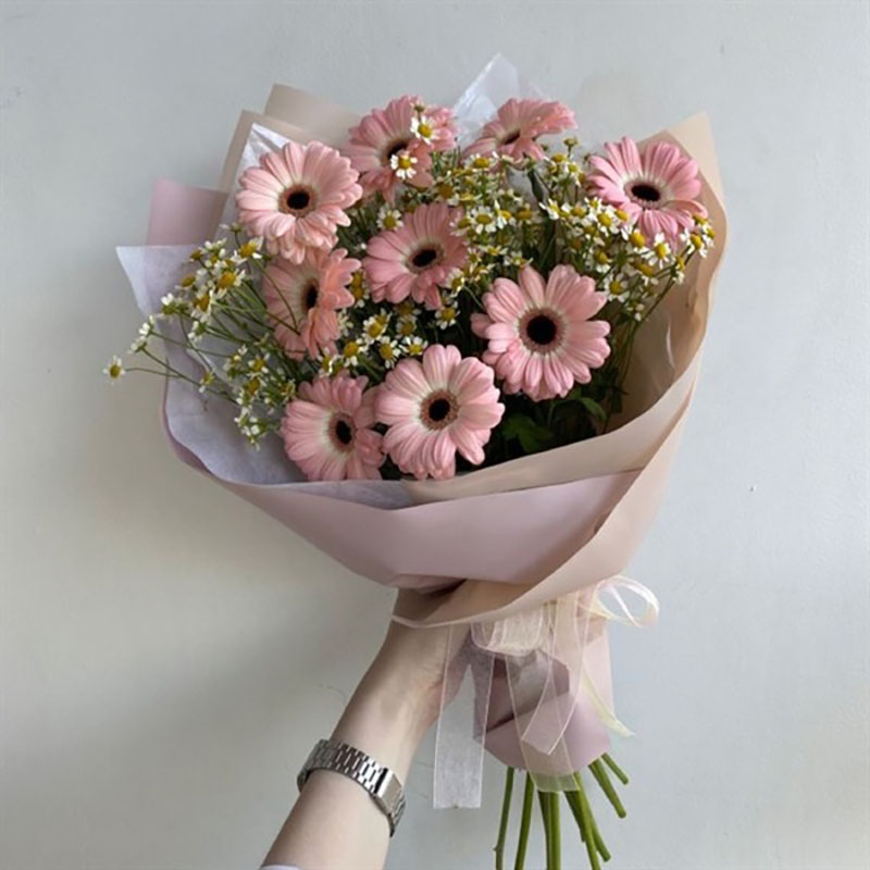 Hoa đồng tiền Hoa đồng tiền