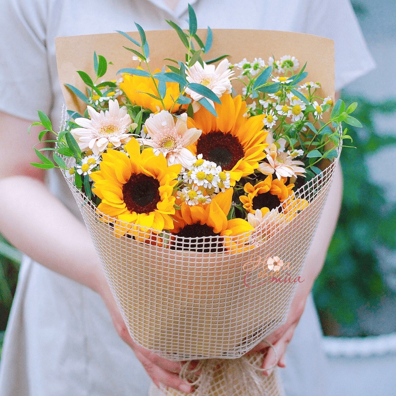 Hoa hướng dương Hoa hướng dương