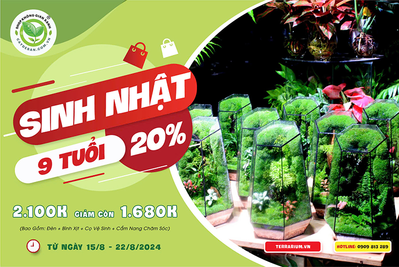 khuyến mãi sinh nhật shop không gian xanh