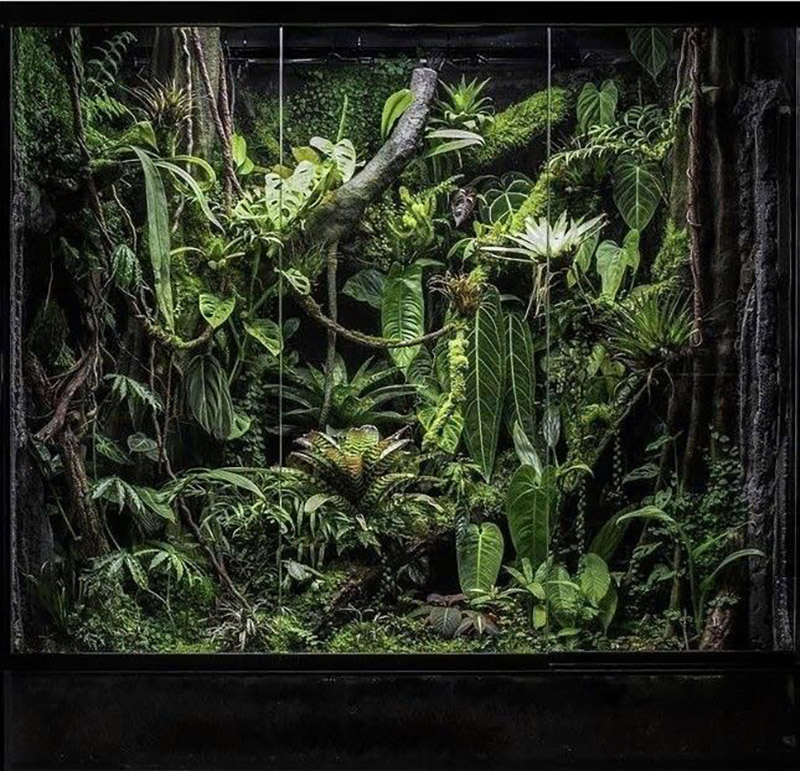 Những lưu ý khi chơi hồ bán cạn Những lưu ý khi chơi hồ bán cạn