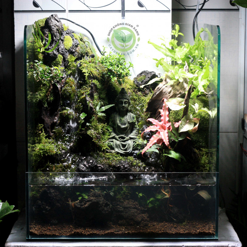 Paludarium là gì? Paludarium là gì?