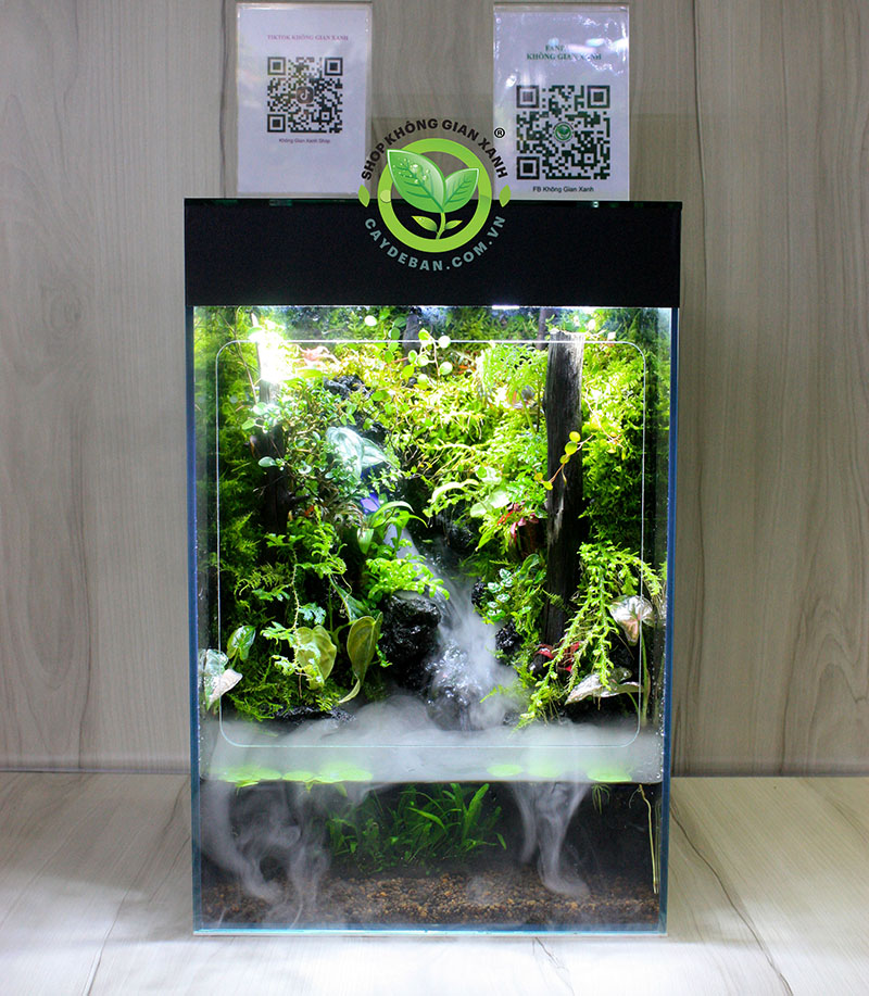 Những thiết bị thường được sử dụng trong Paludarium rainforest - Rừng mưa nhiệt đới
