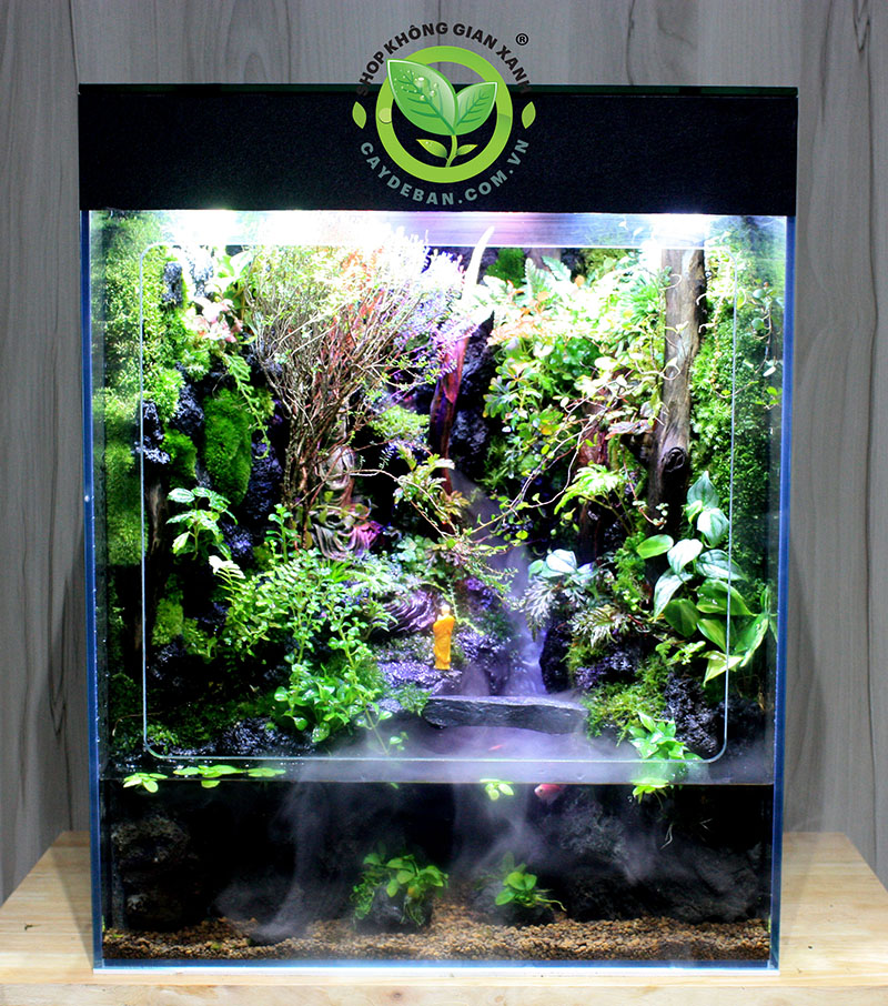 Kết cấu bể Paludarium rainforest - Rừng mưa nhiệt đới