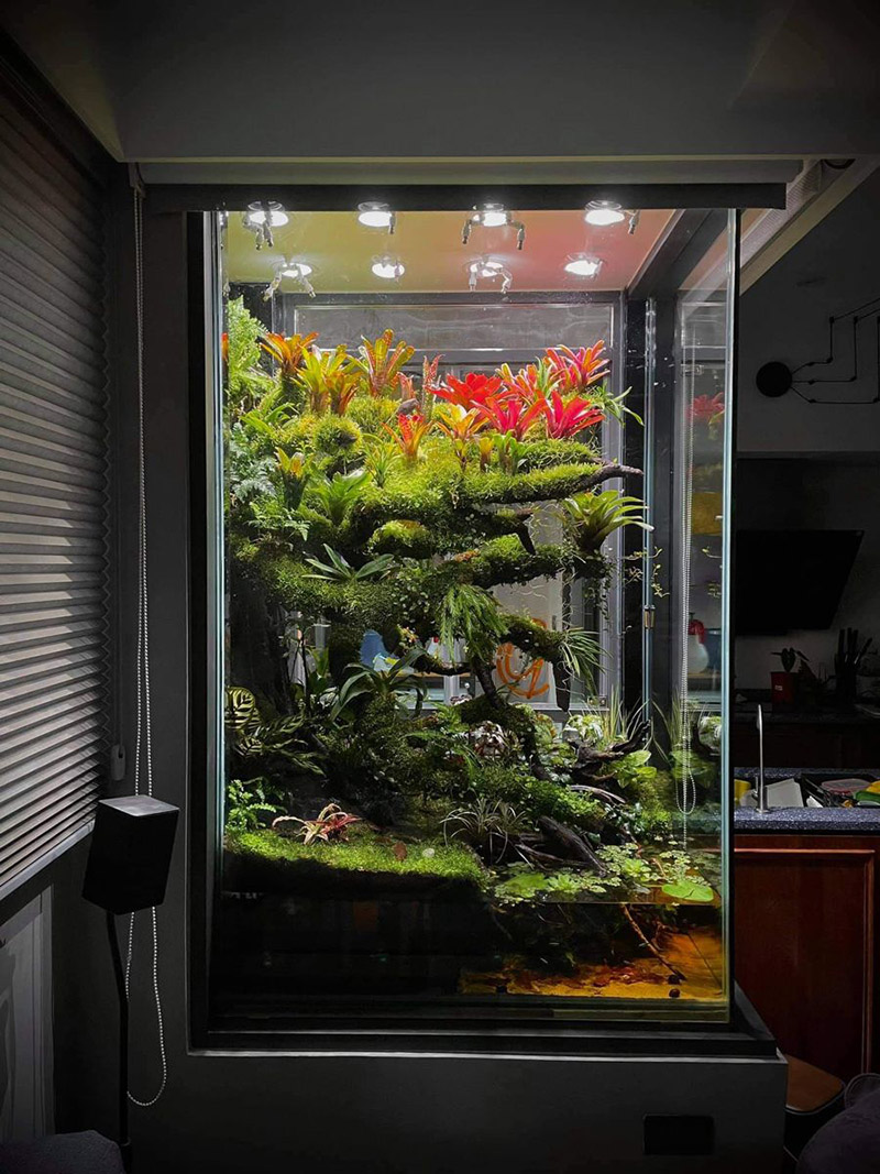 Vivarium là gì? Vivarium là gì?